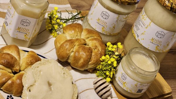 Miód rzepakowy kremowany